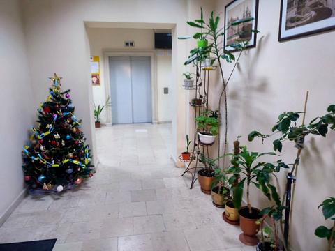 квартира по адресу Шевченко просп., 4б