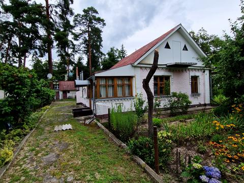ділянка за адресою Шевченка вул.