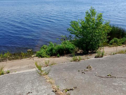 участок по адресу Богатырская ул., 42