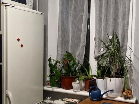 квартира за адресою Кіото вул., 5