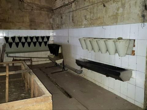 комерційна за адресою с. Новий Білоус, проточна, 9