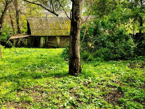 будинок за адресою с. Мала Стариця, Мічуріна