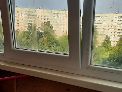 квартира по адресу Победы просп., 74б