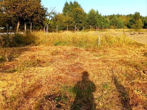 участок по адресу Панаса Мирного, 53