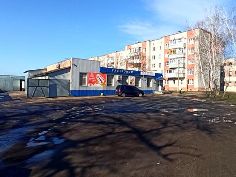 участок по адресу Элеваторная ул.