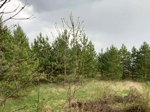 будинок за адресою с. Вовніги, Завірюхи