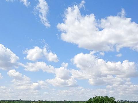 квартира по адресу Тбилисская ул., 23