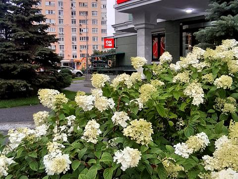 квартира по адресу Воскресенская ул., 12-В
