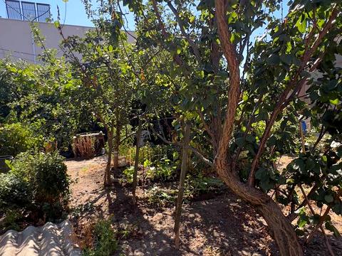 ділянка за адресою Офіцерська вул., 9б