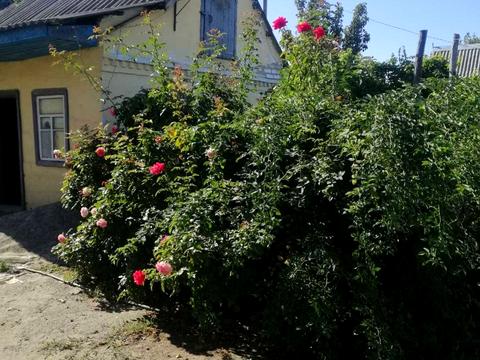 дом по адресу Большая Диёвская ул. (Братьев Трофимовых), 549