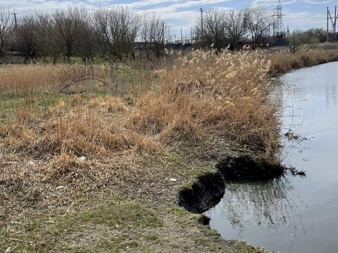 ділянка за адресою Сурянська