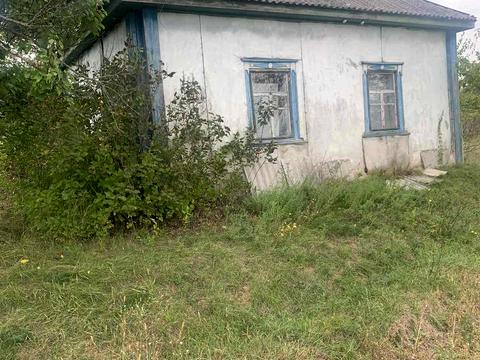 дом по адресу Шкільна, 19