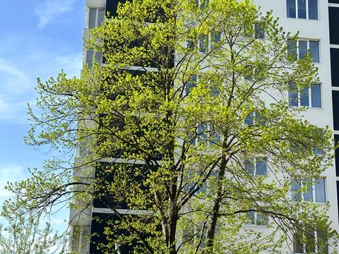 квартира по адресу Галицкая ул., 203