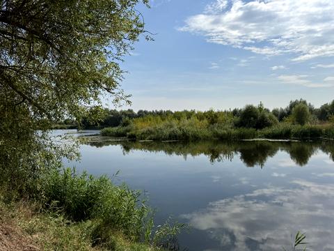 участок по адресу с. Ходосовка, 