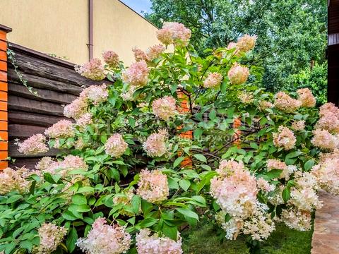 дом по адресу с. Петропавловская борщаговка, Казацкая ул. (Октябрьская)