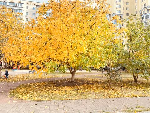квартира за адресою Макіївська вул., 10-А