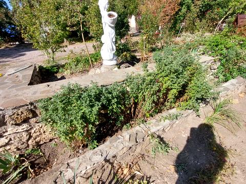будинок за адресою Сінна, 1