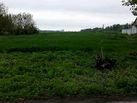 ділянка за адресою Колгоспна