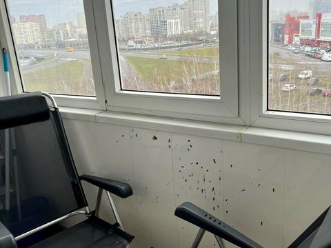 квартира по адресу Михаила Гришко ул., 9
