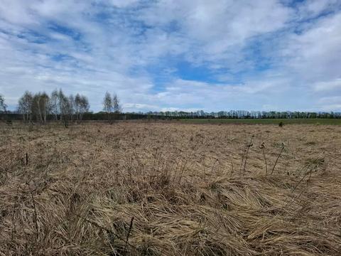 ділянка за адресою с. Проців, Солов'їна