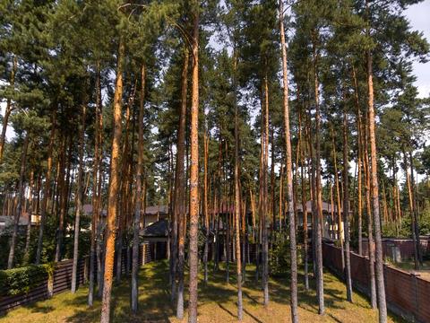 будинок за адресою Антонія Михайловського вул.