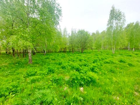участок по адресу Левківська