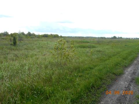 ділянка за адресою с. Великі Дмитровичі, 