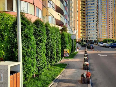 квартира за адресою Сім'ї Кульженків вул. (Петра Дегтяренка), 37
