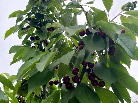 будинок за адресою Парковая, 8