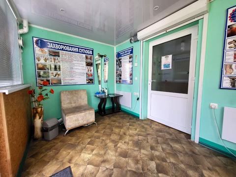комерційна за адресою Гетьмана Сагайдачного вул., 10