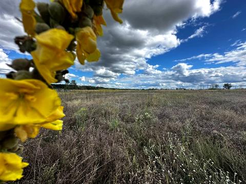 ділянка за адресою Героїв Вітчизни