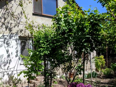 квартира за адресою Одеса, Анатолія Бачинського вул., 71
