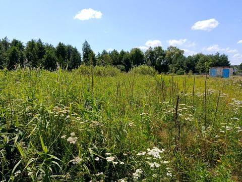 будинок за адресою с. Артюхівка, Калинівський, 11