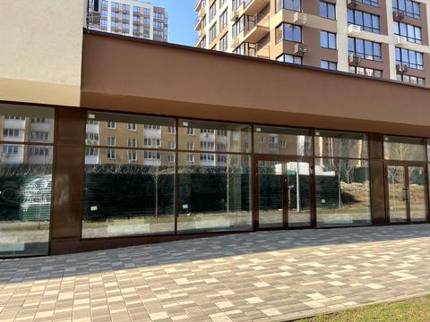 комерційна за адресою Олександра Олеся вул., 2-А