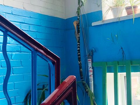 квартира по адресу Григорія Чупринки ул. (Чудновського), 8