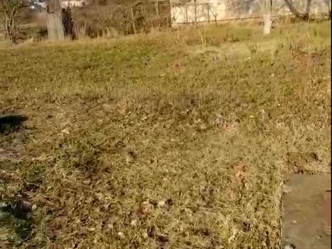 участок по адресу с. Шевченково, Леси Украинки