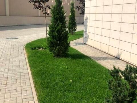 квартира за адресою Дача Ковалевського вул., 91