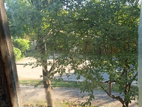 квартира по адресу Ферганская ул., 29