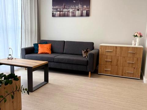 квартира за адресою Центральна вул., 19