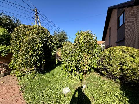 будинок за адресою чумацька, 5