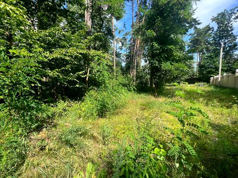 ділянка за адресою Котляревського