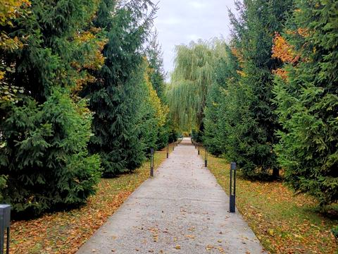 квартира по адресу Провулок Грушевського, 12