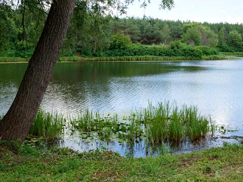 будинок за адресою с. Лебедівка, Чешська