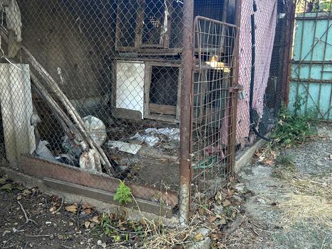 дом по адресу Степова, 20