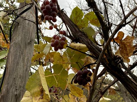 будинок за адресою Курортная, 17