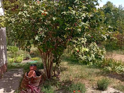 будинок за адресою с. Хвильово-Сорочин, Перемоги