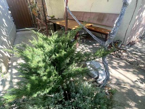 дом по адресу Паустовского ул.