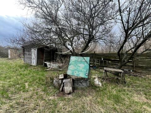 ділянка за адресою с. Плесецьке, Польова вулиця, 24