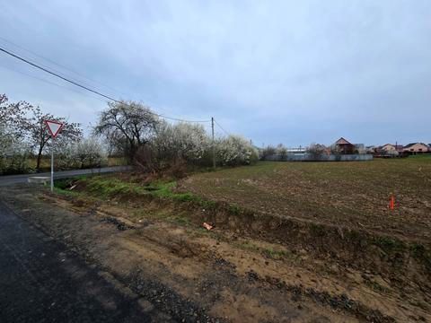 ділянка за адресою с. Коритняни, Духновича