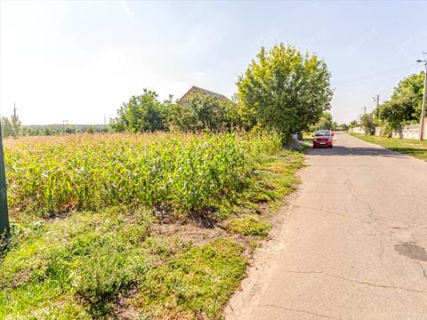 ділянка за адресою Центральна, 1